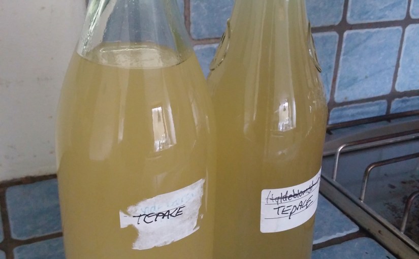 Tepache – lav alkohol af din ananas